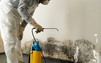 What to Expect from Professional Biohazard Cleanup Services?