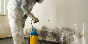 Mold Remediation